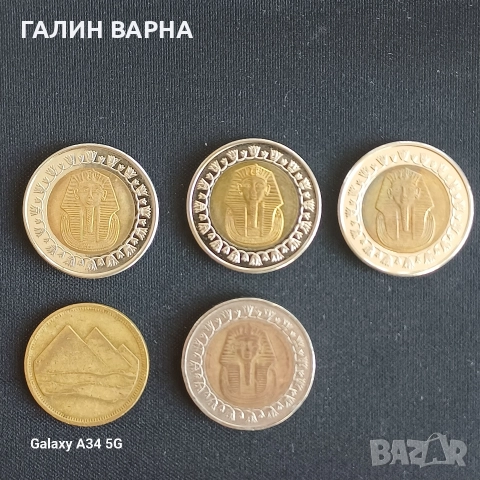 Египетски паунд колекция Тутанкамон, снимка 2 - Колекции - 52947383