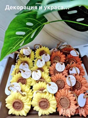 Сапунчета слънчоглед