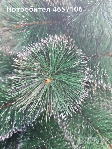 Коледна елха с бели заскрежени връхчета, снимка 8 - Декорация за дома - 52494234