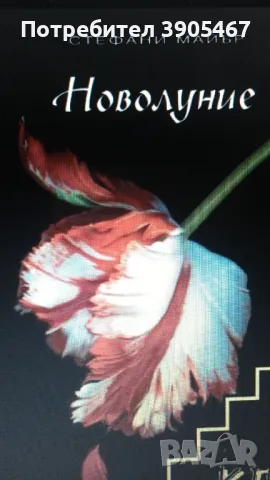 НОВОЛУНИЕ