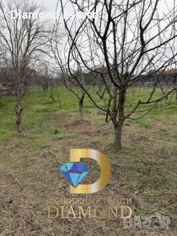 Двуетажна къща в село Крепост, общ. Димитровград, снимка 8 - Къщи - 50820114