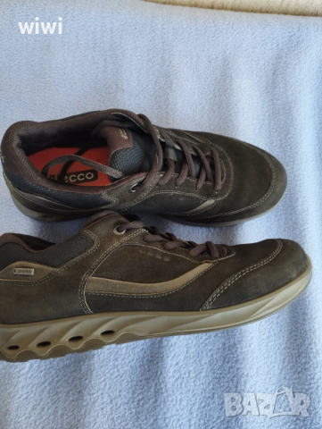 Ecco coretex номер 38.