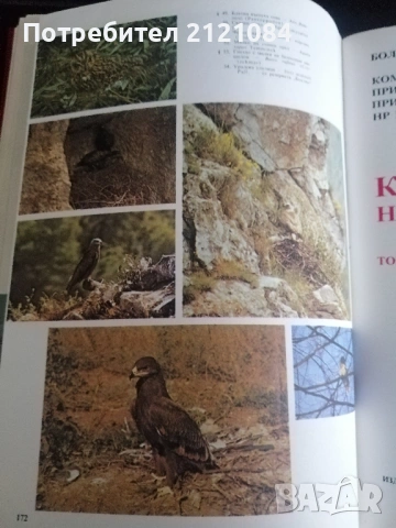 Червена книга на НР България. Том 2: Животни , снимка 8 - Енциклопедии, справочници - 53296861