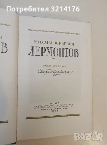 Полное собрание сочинений. Том 1-4 - Михаил Юрьевич Лермонтов, снимка 4 - Художествена литература - 50358494