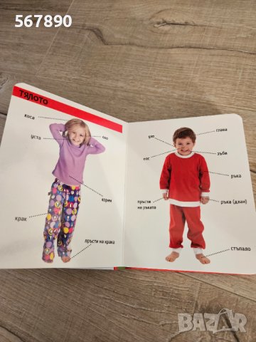 Детска книжка 12м+ първи думи , снимка 3 - Образователни игри - 43568135