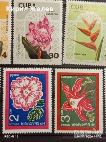 Стари пощенски марки от цял свят смесени ЦВЕТЯ без печат за КОЛЕКЦИЯ 52074, снимка 8 - Филателия - 53228641