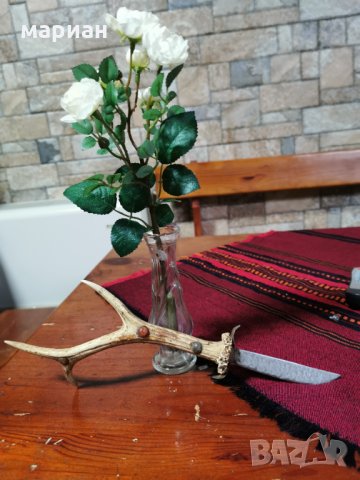 Колекционерски нож с рог от елен, снимка 2 - Колекции - 33568143