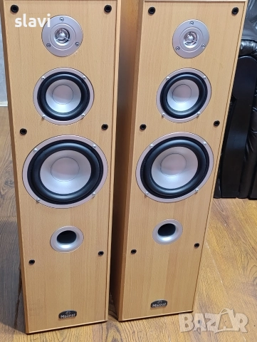 Високи Тонколони Magnat Vision 8000, снимка 5 - Тонколони - 52777216