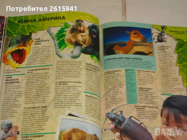 Сборник "Рекордите на Гинес-2008г-Голяма,Луксозна,Флуоресцентни Страници-GUINNESS WORLD RECORDS 2008, снимка 16 - Енциклопедии, справочници - 40178589