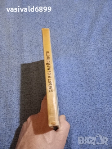 Джеймс Ейджи - Смърт в семейството , снимка 2 - Художествена литература - 52806594