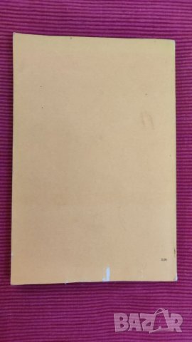 Книга, Фотография за юноши, Хайнц Хофман. , снимка 2 - Специализирана литература - 40715666