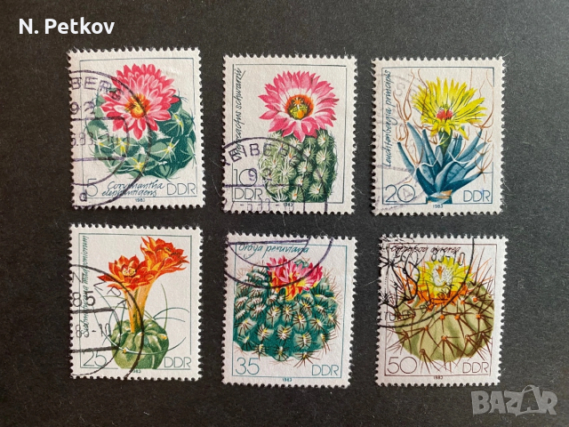 Германия (DDR), Кактуси