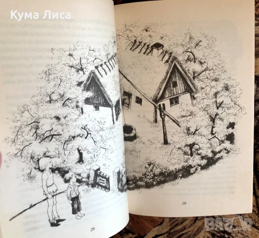 Вкусовете на Индия Рецепти от индийската кухня , снимка 2 - Други - 51295131