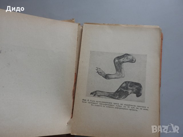 Суровата растителна храна. Нейното лечебно и здравословно действие, 1943 г., снимка 5 - Специализирана литература - 35509765
