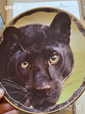 декоративна порцеланова чиния пума Royal Doulton    15/2, снимка 2 - Декорация за дома - 48204503