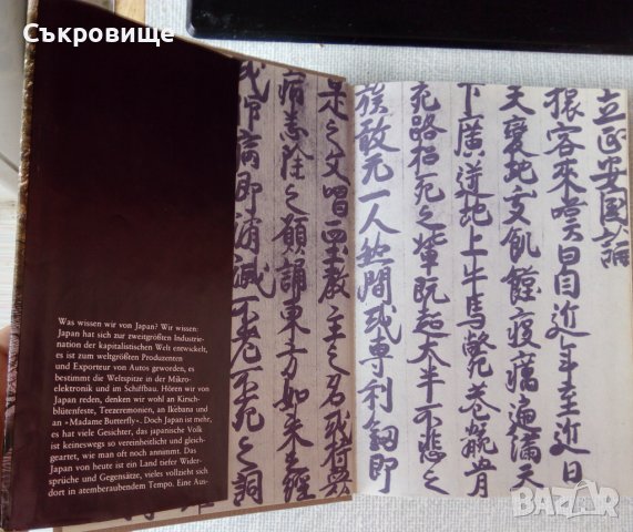 Книга за Япония с много снимки  на немски език Streiflichter aus Japan, снимка 2 - Чуждоезиково обучение, речници - 37492165