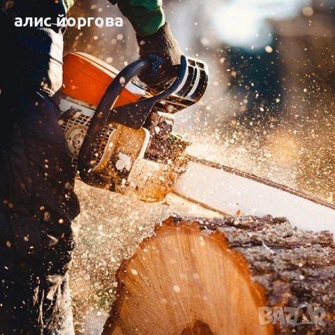 Всякакъв вид градинарски и овощарски услуги 