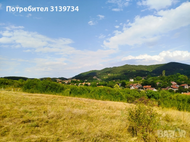 Продавам УПИ в Центъра на село Дивотино , снимка 9 - Парцели - 52989731