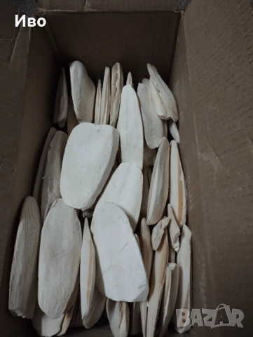 Сепийна кост 300гр., снимка 3 - За птици - 53097993