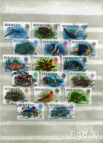 Бермуда.  К.1