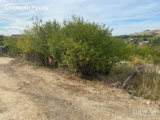 с. Калипетрово имот 1191кв.м / градина / парцел / терен , област Силистра -цена 11 000лв на 100м от , снимка 13 - Парцели - 49801270