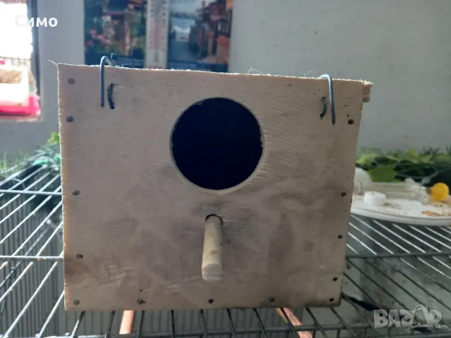 продавам гнезда за птици