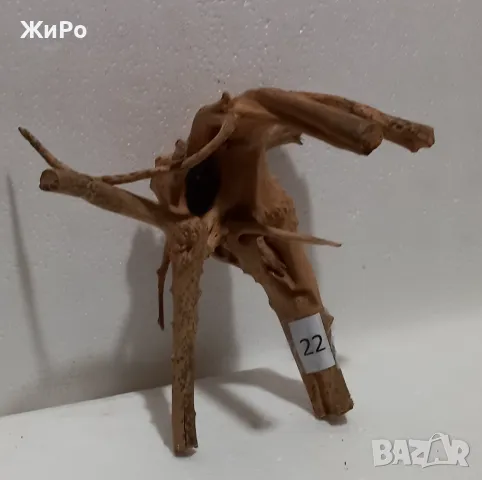 Корен от Азалия /декорация/ 22, снимка 2 - Други - 48936491