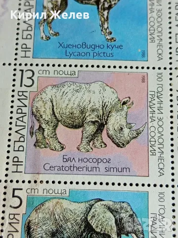 Пощенски марки чисти 100г. ЗООЛОГИЧЕСКА ГРАДИНА СОФИЯ редки за КОЛЕКЦИОНЕРИ 46691, снимка 4 - Филателия - 47756593