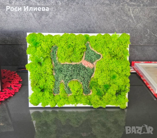 Картина "Коте" декорирана със скандинавски мъх, снимка 2 - Картини - 53272108