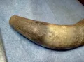 Стар БИВОЛСКИ ГОВЕЖДИ РОГ За КОЛЕКЦИЯ ТЕМАТИЧНА ДЕКОРАЦИЯ 47837, снимка 9