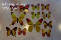 3D пеперуди за декорация, снимка 4