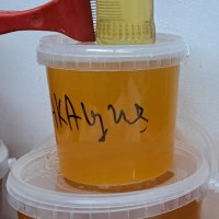 Акациев Пчелен мед от АКАЦИЯ- Безплатна доставка до офис на куриер, снимка 2 - Пчелни продукти - 42671752
