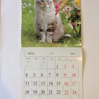 Стенен календар 2011 Котки, снимка 11 - Други - 38776717