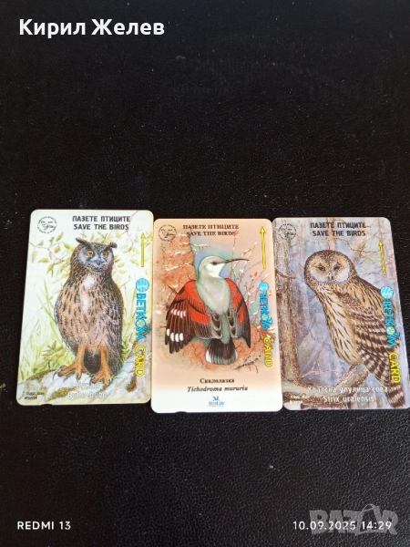 Три фонокарти БЕТКОМ тема ЖИВОТНИ БУХАЛ,СОВА,СКАЛОАЗКА за КОЛЕКЦИЯ 48623, снимка 1