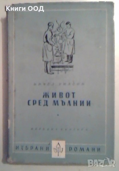 Живот сред мълнии - Мичел Уилсон, снимка 1