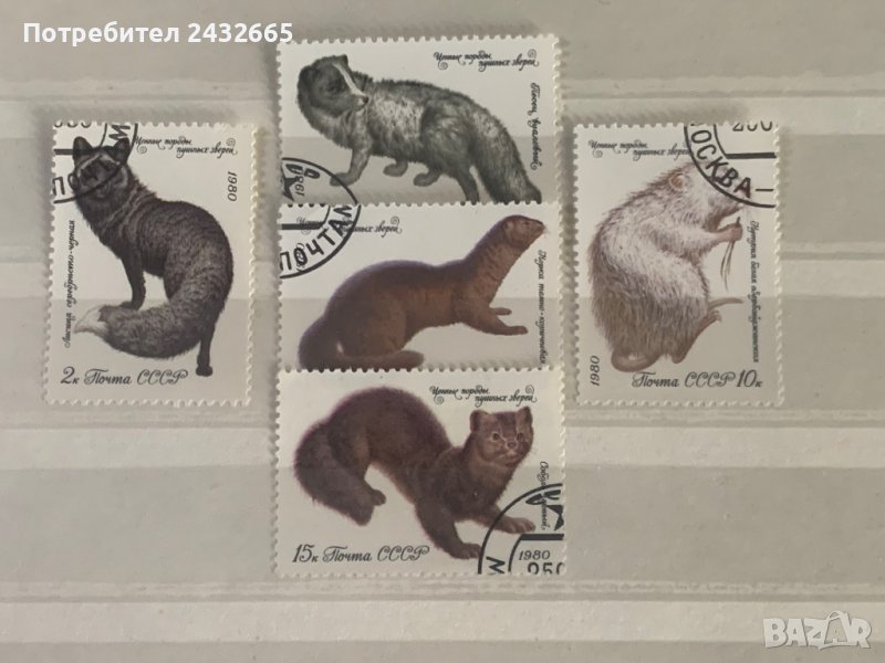 503. СССР 1980 = “ Фауна . Хищници.  ” , снимка 1