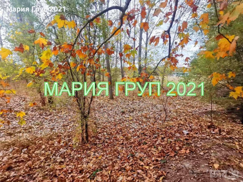 !!!ТОП ОФЕРТА!!!Продавам Парцел в село Скобелево област Хасково!!!, снимка 1