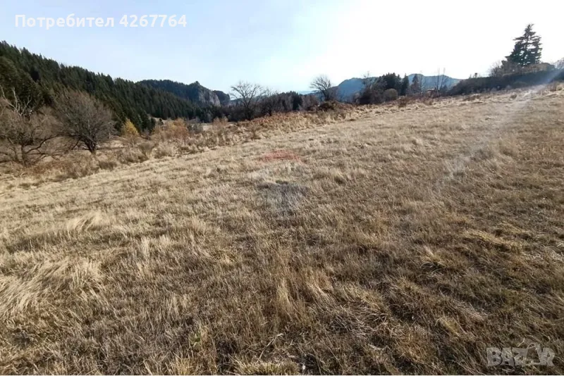 Поземлен имот в Езерово, снимка 1