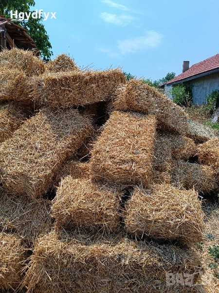 Балли слама , снимка 1