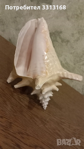 Раковина , снимка 1