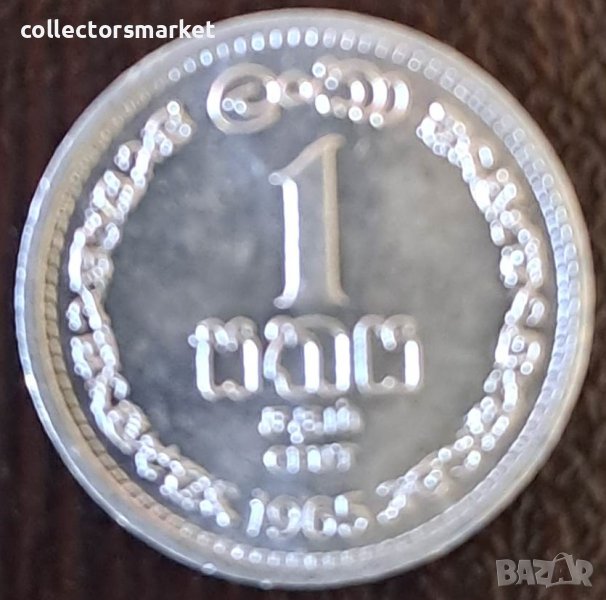 1 цент 1965, Шри Ланка, снимка 1