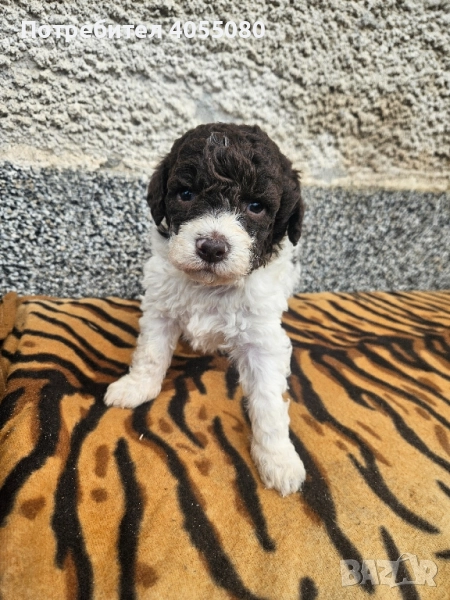 Лагото Романьоло , снимка 1