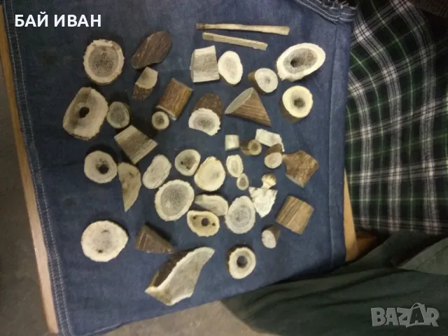 ИЗРЕЗКИ ОТ РОГА 