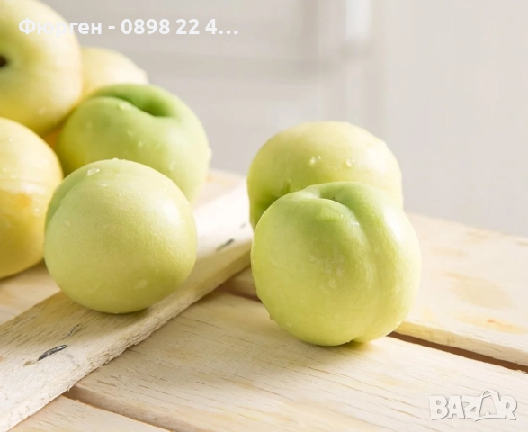 Бяла нектарина , снимка 2 - Разсади - 51956415