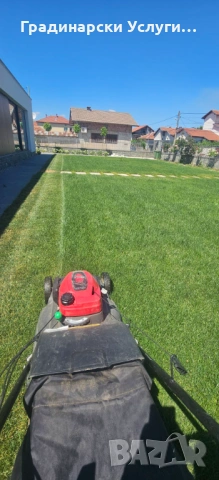 Предлагаме косене, отстраняване и кастрене на дървета, оформяне на храсти и други градинарски услуги, снимка 2 - Други почистващи услуги - 53608621