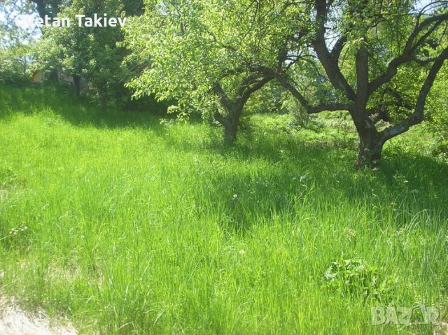 Парцел в УПИ Владая, снимка 4 - Парцели - 30232065