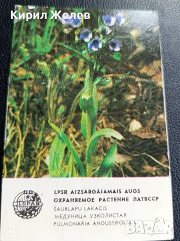 Старо календарче 82г. ЦВЕТЯ рядко за КОЛЕКЦИЯ ДЕКОРАЦИЯ 35327, снимка 4 - Колекции - 51224198