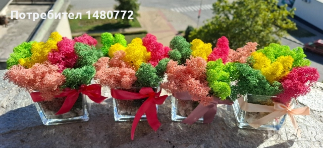 Стъклени кашпи със скандинавски мъх , снимка 17 - Декорация за дома - 48169993