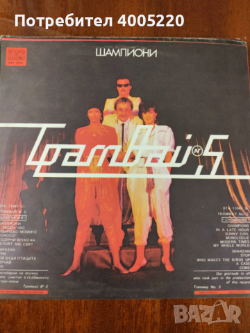 Грамофонни плочи - големи, снимка 5 - Грамофонни плочи - 52579014