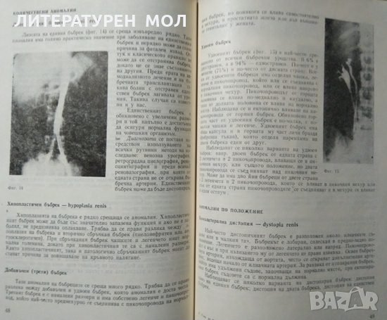 Ръководство за практически упражнения по урология. Второ издание. 1982 г., снимка 4 - Специализирана литература - 27677991